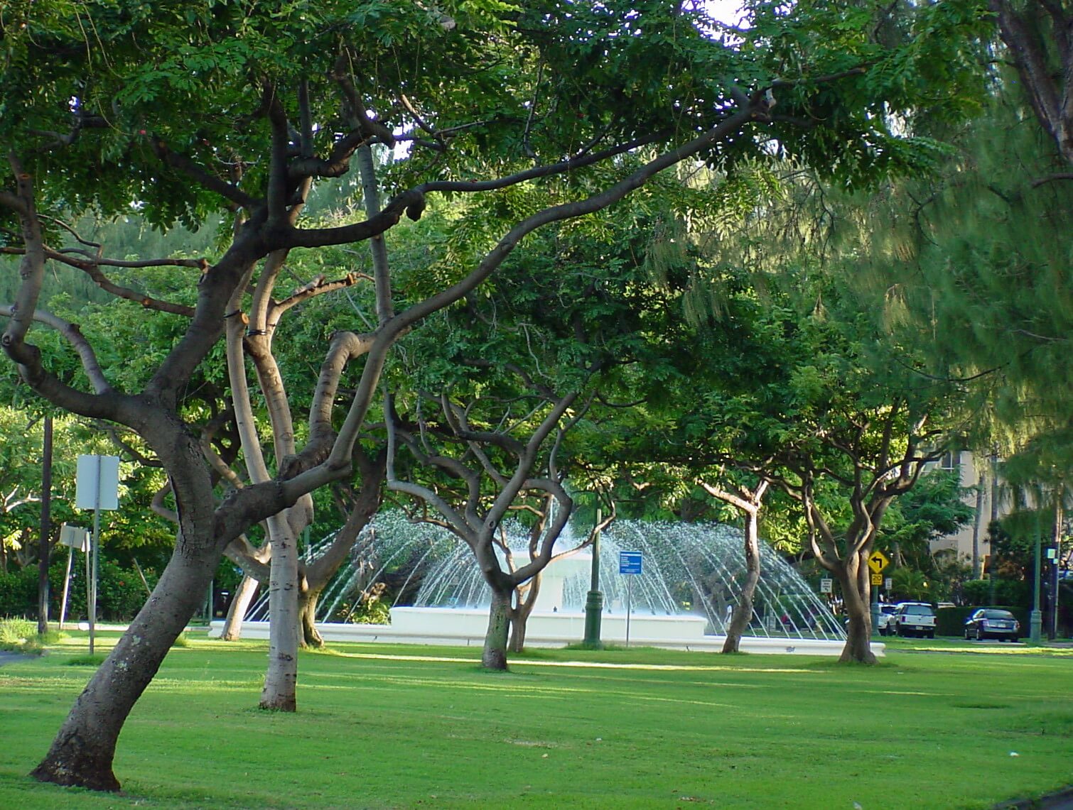 カピオラニ公園はハワイにある歴史的な公園！見どころや行き方などを 